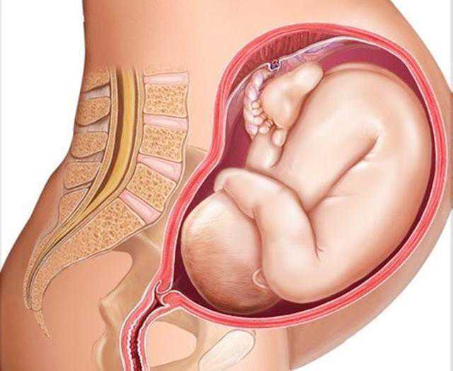 怀孕初期变化与护理指南